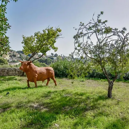 El Toro - By Almarina